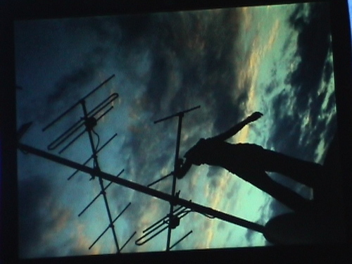 radiobody's profile picture. signal sensor. shadow dweller. queer. spoonie. somanaut.