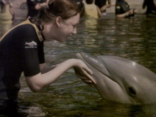 SaffronXjbX's profile picture. I ♥ 1  Dἱɾع©ϯأΟɳ... harry,liam,niall,louis,zayn xxxxxxxxx