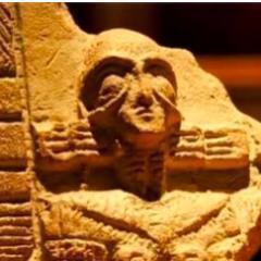 galzurah01's profile picture. 