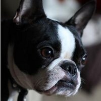 Ruby T Boston (@rubythebt) 's Twitter Profile