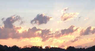 cuitg5's profile picture. faithful