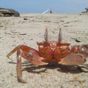 Nelson Powers - @NelsonPowers - Twitter