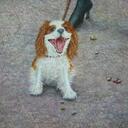 robert fleisher - @fleishersstudio - Twitter