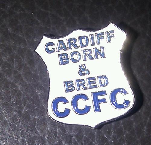 Husband, Father and mad about Cardiff City FC. Blooobirds!