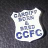 MikeyCCFC1969's profile picture. Husband, Father and mad about Cardiff City FC. Blooobirds!