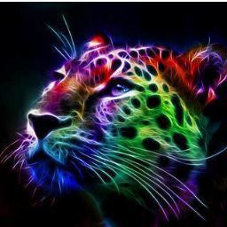 katness0714's profile picture. 