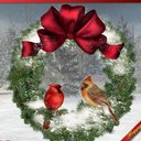 Jean Alphin - @JeanAlphin1 - Twitter