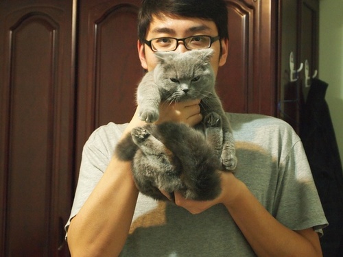 bamboo_cn's profile picture. 