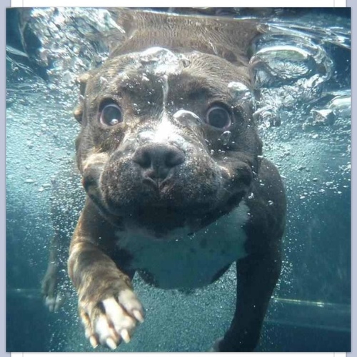 Mc_NutzSoLong's profile picture. I say what I feel