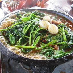 KangkungCa's profile picture. 