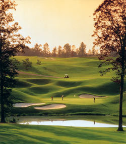 ChateauElanRE's profile picture. 