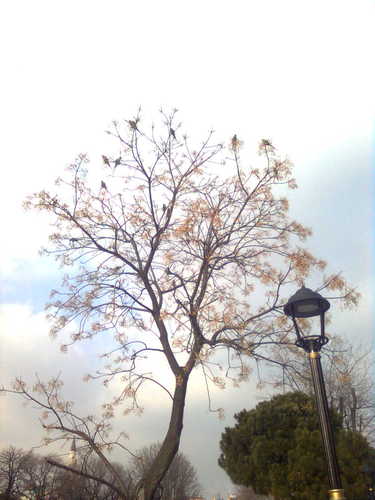 KontBayan's profile picture. Islam Hukuku Ogretim Uyesi