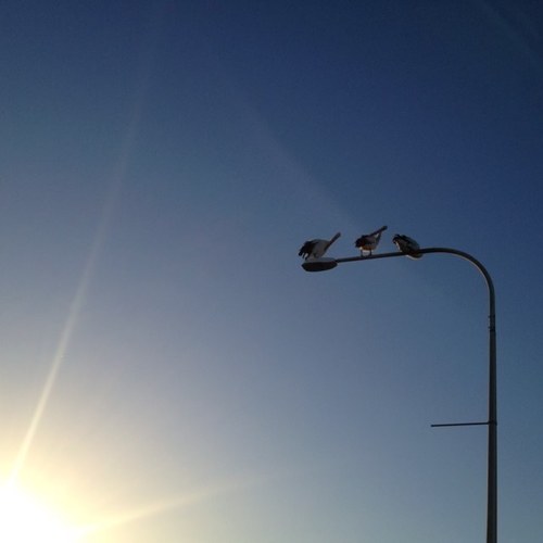 audenbond's profile picture. 