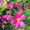 Sonja Peer - @SophieZala - Twitter