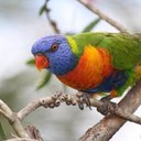 wendy knowles - @wendyknowles21 - Twitter