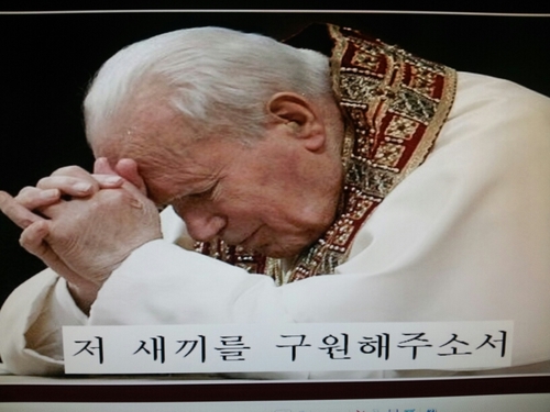 5359537's profile picture. 평생에 단한사람.노 무 현   뼈속까지  노빠인나!