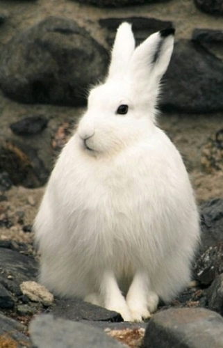 PrChloe's profile picture. 두냥이엄마.카페투어.요리.사진선물.도서관은둔.마음공부.다소왼쪽.장래희망은 살림의여왕.섹시한엄마.재테크달인.만물을박애하는사람.유쾌한염세주의자.행복한 삶. 善慧Chloeنسمه