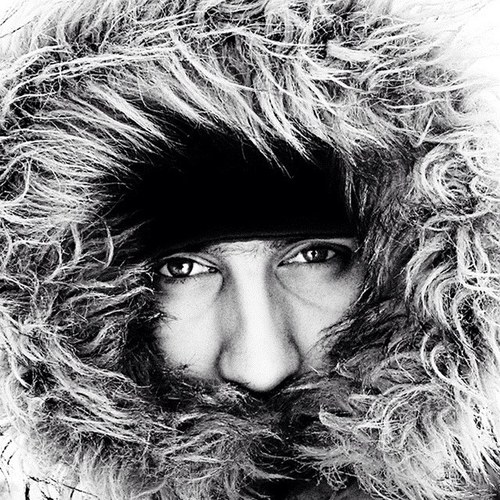 dmolodkin's profile picture. 