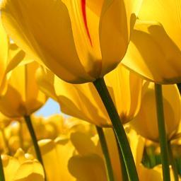 NavamiKrishna6's profile picture. 