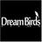 Dream Birds Films