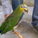 paul petrus - @bluesbum - Twitter