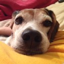 Meredith Meadows - @MeredithSadie - Twitter