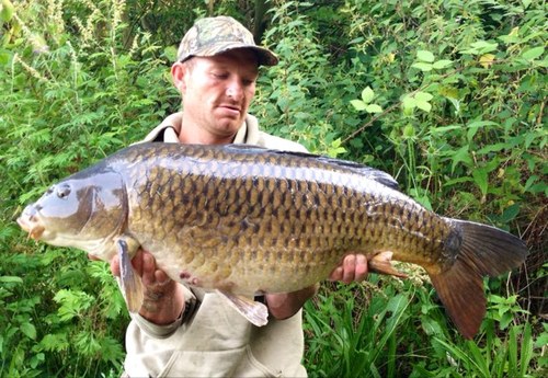 carp angler 
UK pbs 
43lb 6 c
48lb 12 m
56lb 15 🇲🇫c
43lb 🇲🇫m