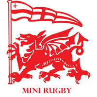 London Welsh RFC Minis(@LWMiniRFC) 's Twitter Profile Photo