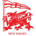 London Welsh RFC Minis (@lwminirfc) Twitter profile photo London Welsh RFC Minis (@lwminirfc) Twitter profile photo