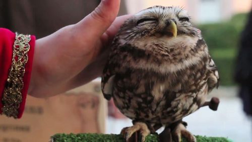 rika_wang81's profile picture. 