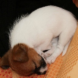 moca0831's profile picture. 