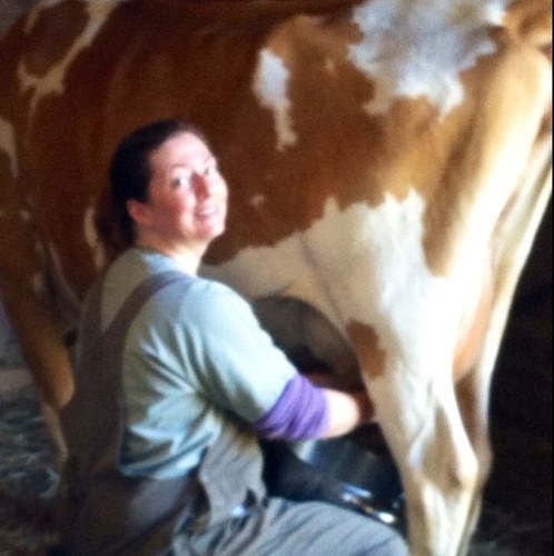 Christian, Wife to Joe, mom of three, Realtor in Chelsea/Grass Lake, Rabbit & chicken wrangler, Serious Foodie, Honeybee keeper, hand milker of 2 Gurnsey cows