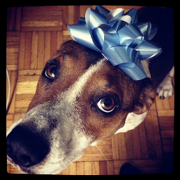 A canine event to fight cancer while raising awareness of the caregiving qualities of dogs!