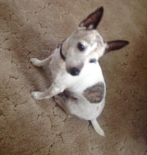 sweenmum's profile picture. 