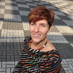 Vernieuwer, verbinder, ontwikkeling van mensen