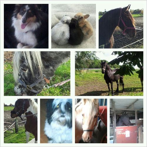 kimdbaily's profile picture. 3gerbert