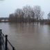 The River Severn (@theriversevern) Twitter profile photo The River Severn (@theriversevern) Twitter profile photo