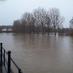 The River Severn (@TheRiverSevern) Twitter profile photo