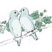 Mr & Mrs Productions (@mrmrsweddings) Twitter profile photo