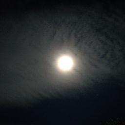 おたくです。語彙力や文章力はありませんので素晴らしい文章が呟かれることはありません。■ Shipper■成人済■