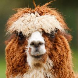 Adr767's profile picture. 