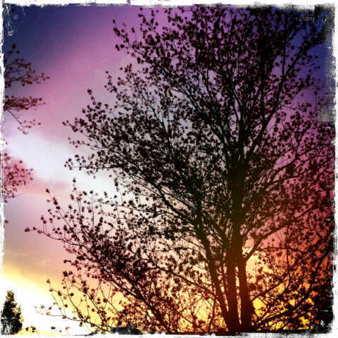 JunetDarc's profile picture. ​♥ GOD n ​♥ U ....  Est-ce qu'il y a des questions?