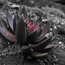 aJ Herrera - @aherreraz203 - Twitter