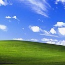 vika_zhu_233014's profile picture. 