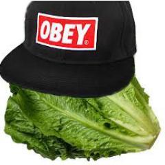Lechuga bipolar e indignada, no tengo pies para Vans. No soy perfecto, soy una lechuga. Si miras al horizonte princesa yo estaré allí cual cogollo feliz.