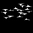 n8schwaermer's profile image