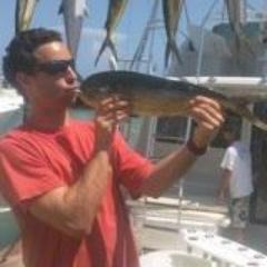 dabahare's profile picture. 