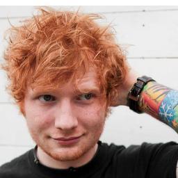 EDdaGINGE's profile picture. MY LIFE REVOLVES AROUND A GINGER NAMED EDWARD SHEERAN
