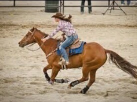 I like my tea Sweet, My boys Country and my horses Fast. Guess you could just call me a hell raising Candain CowGirl