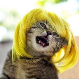 Skunky66613's profile picture. Strong Conservative (Heads up 4 those who can't handle diversity)~Snark, Fun, Laughs, Weirdness & Darkness live here as well! (Like A FUNHOUSE on fire!). Chooky